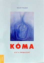 Kóma. Klíč k probouzení
