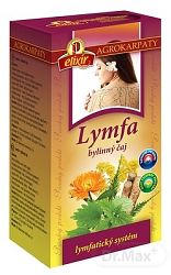 Agrokarpaty Lymfa bylinný čaj 20 x 2 g
