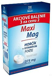 MaxiMag Hořčík+B6 šumivé 3 x 20 tabliet